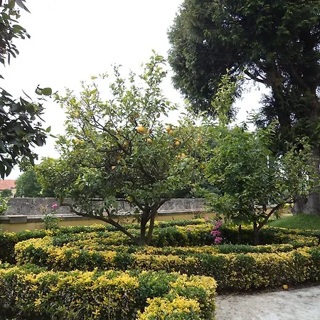 Nobre Oporto